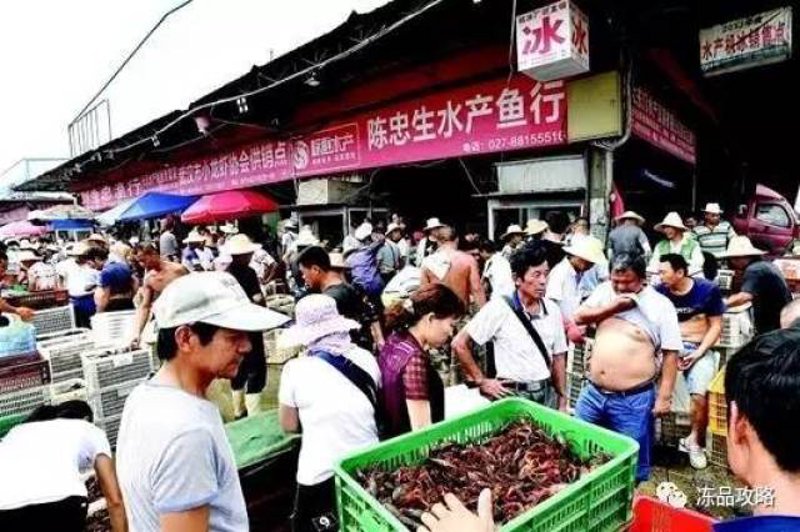 如何让商贸公司在激烈的市场竞争中立于不败之地？让我们通过案例分析，揭示其中的盈利秘诀。